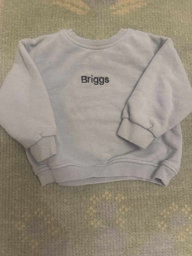 Briggs | 12-months