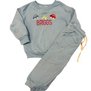 Briggs | 3T