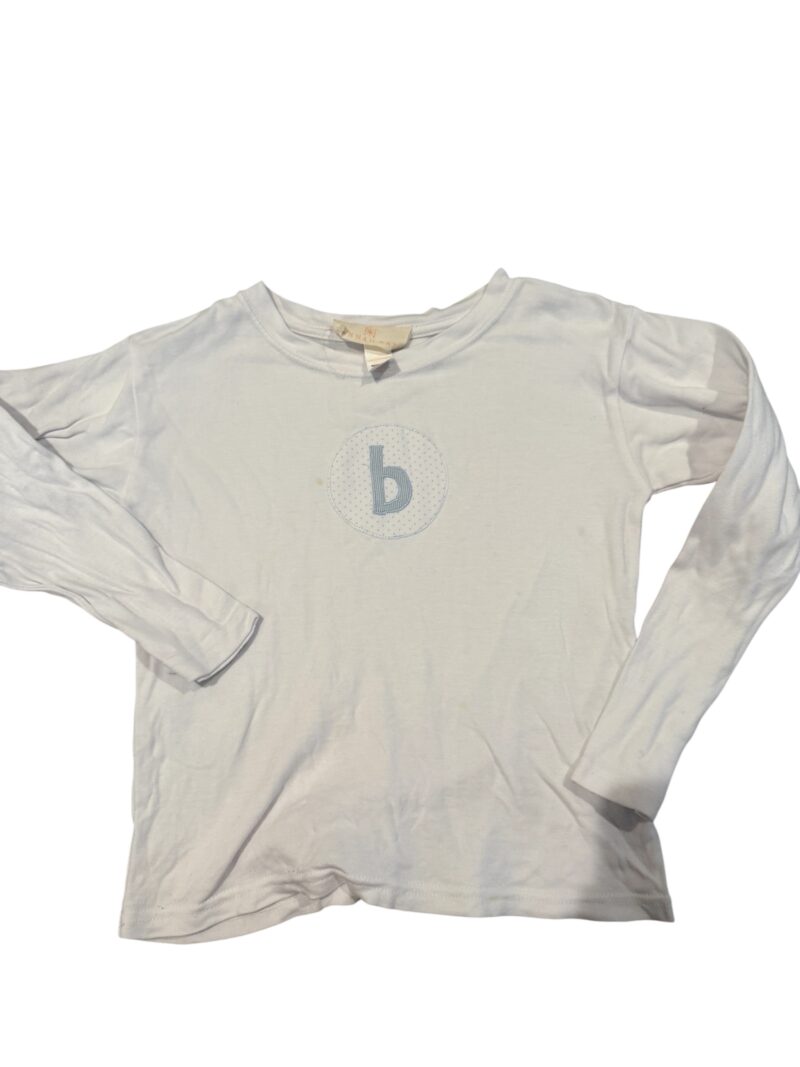 B | 3T