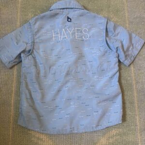 Hayes | 3T