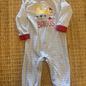 Briggs | 12-months
